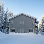Yllaes Kanerva 105 By In Lapland