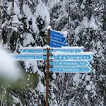 Yllaes Kanerva 105 By In Lapland *